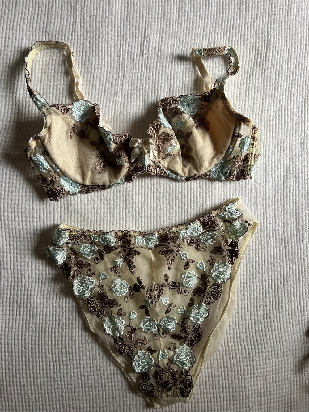 Nina Ricci Cream Sheer Bra & Brief Set with Aqua and Brown Floral Embroidery